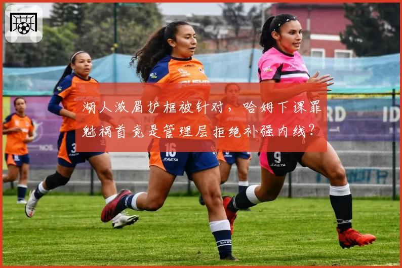 湖人浓眉护框被针对，哈姆下课罪魁祸首竟是管理层拒绝补强内线？