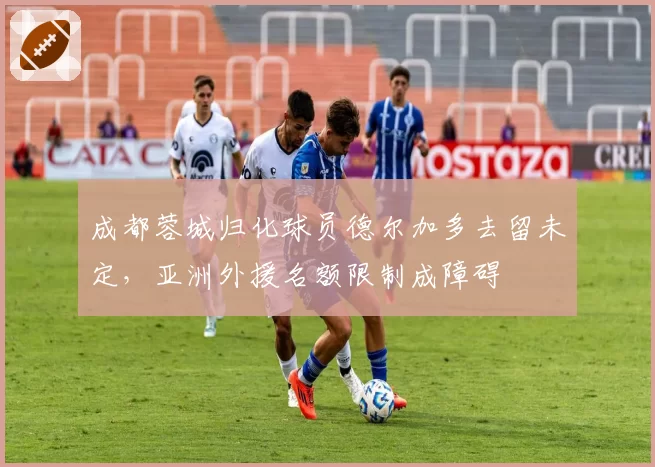 成都蓉城归化球员德尔加多去留未定，亚洲外援名额限制成障碍